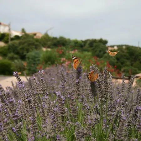 La Rosanna De L'esterel Villa